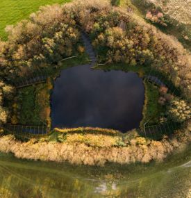 Neue Entdeckungen - VVV Ameland