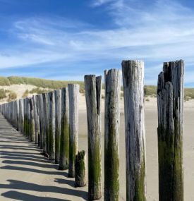Zeit für Abenteuer? Zeit für Ameland! - VVV Ameland