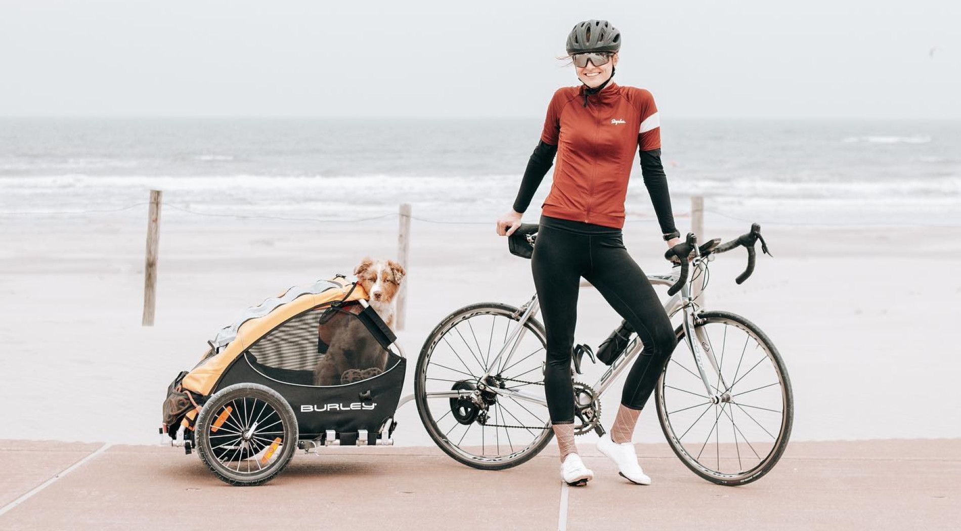 Fahrradfahren mit dem Hund - VVV Ameland