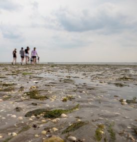 Abenteuer - VVV Ameland