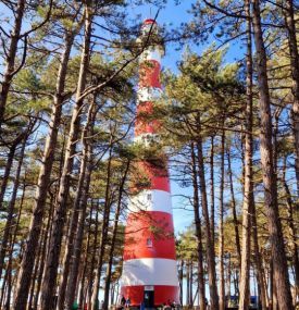 Ameland im Laufe der Jahre.... - VVV Ameland