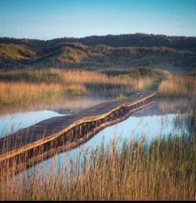 Endlose Spaziergänge. - VVV Ameland