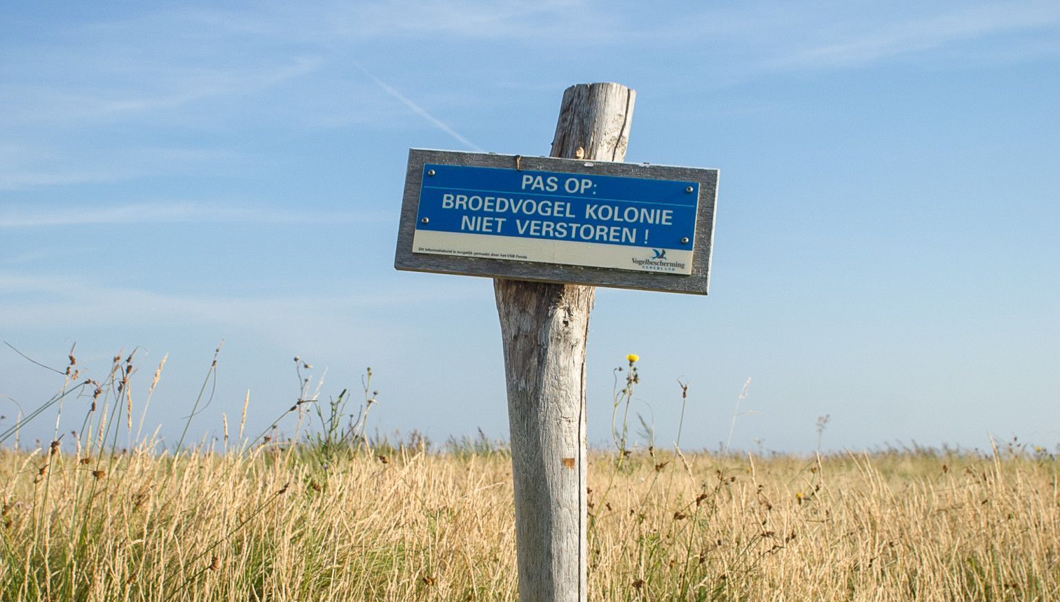 Sommer - VVV Ameland