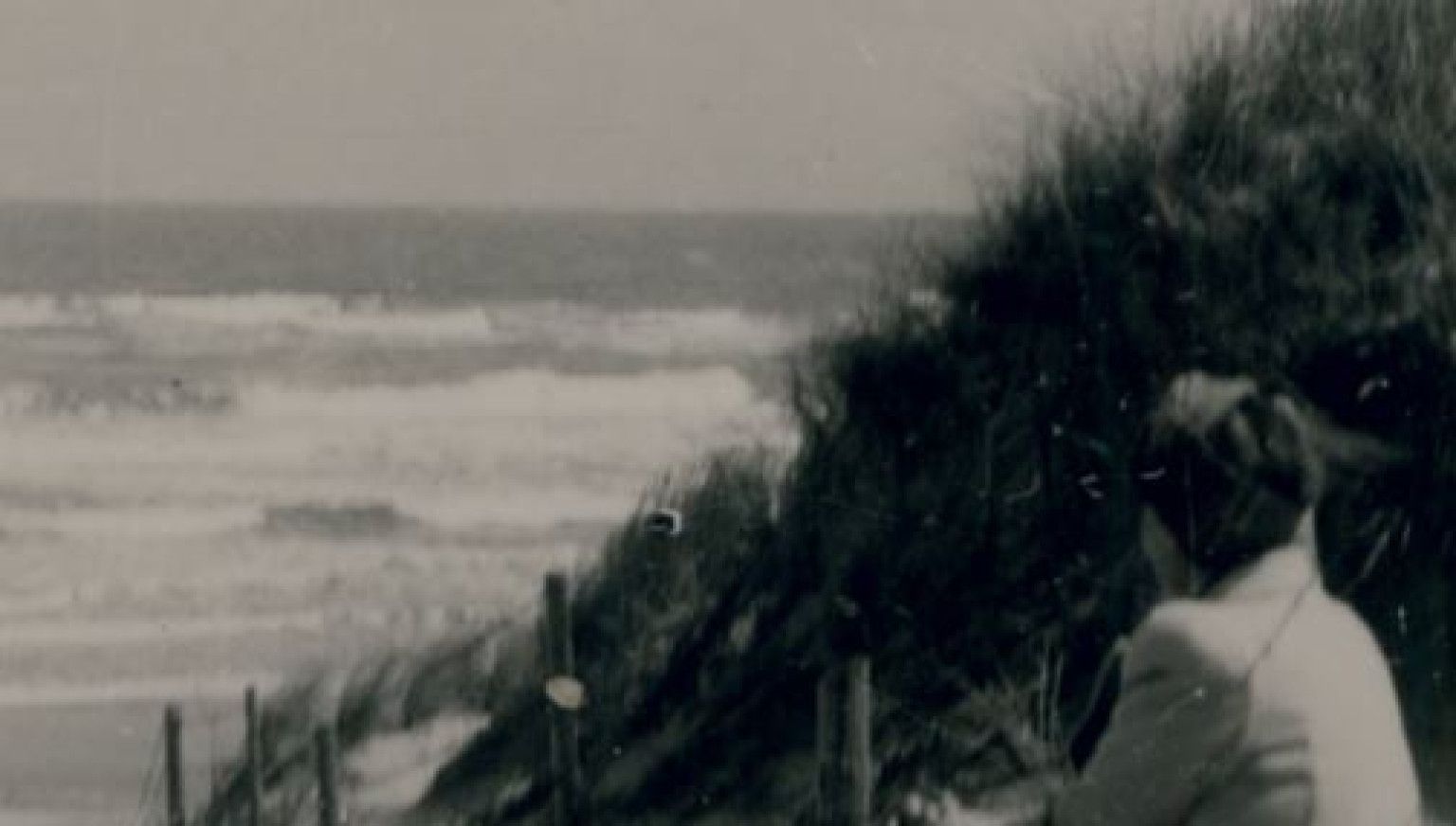 80 Jahre Befreiung Ameland - VVV Ameland