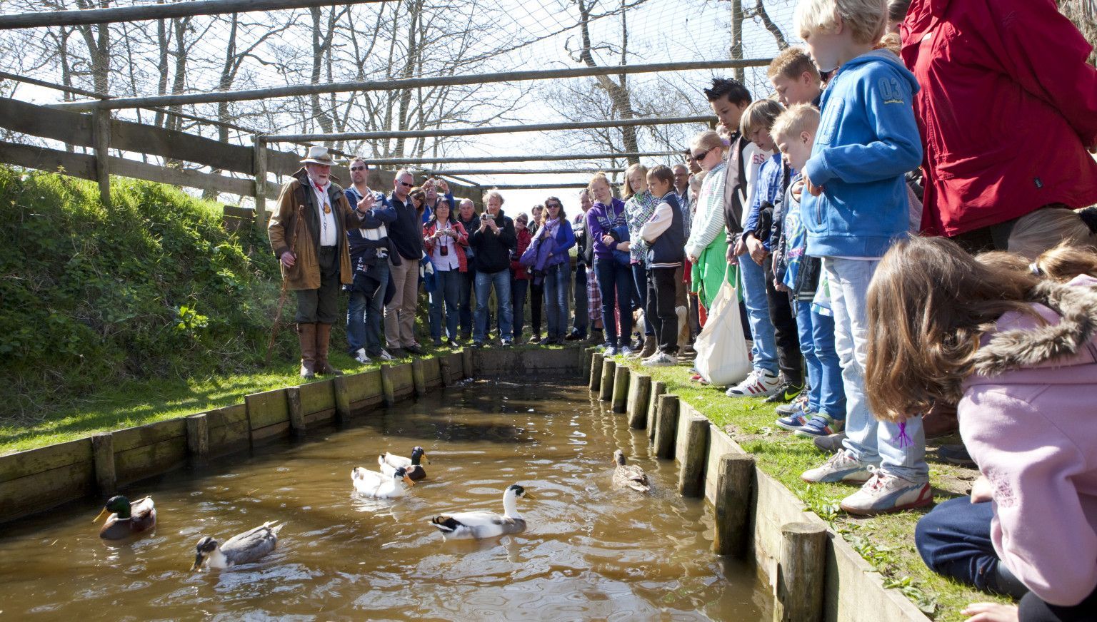 Eendenkooi excursie - VVV Ameland