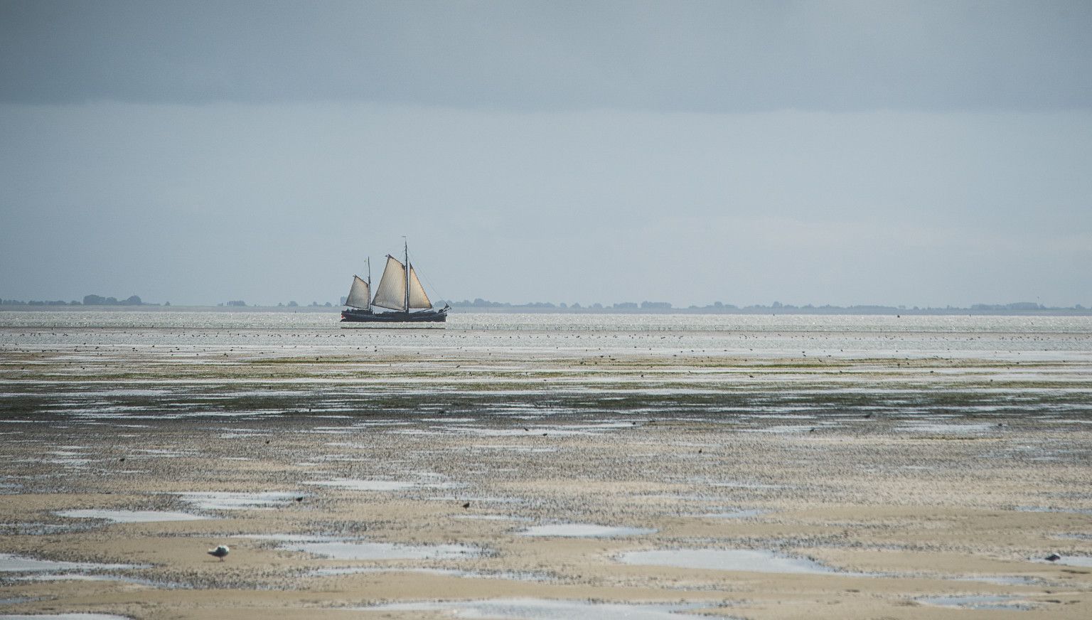 Rhythmus von Ebbe und Flut - VVV Ameland