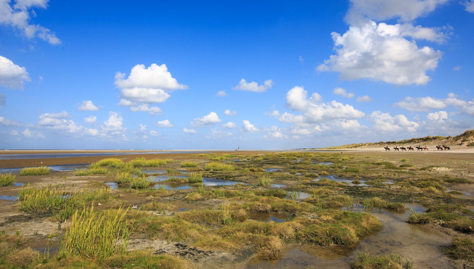 Groene strand - VVV Ameland