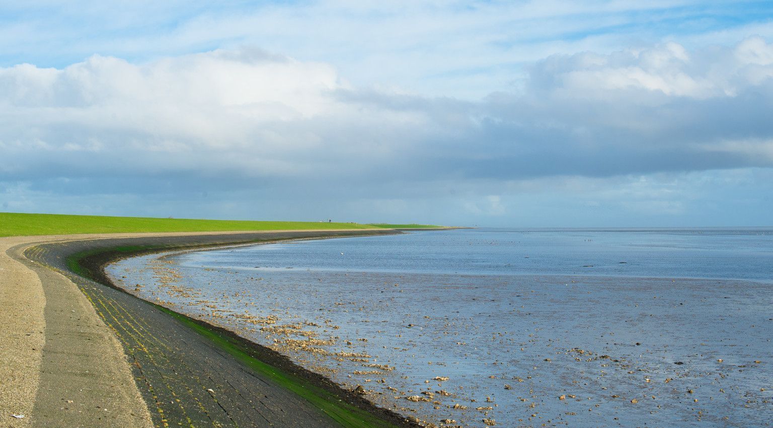 Wattenmeer als Nahrungsquelle - VVV Ameland