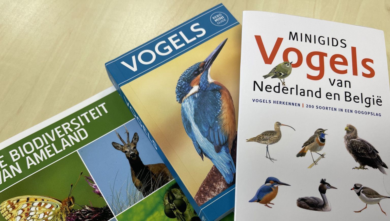 Vogelführer - VVV Ameland