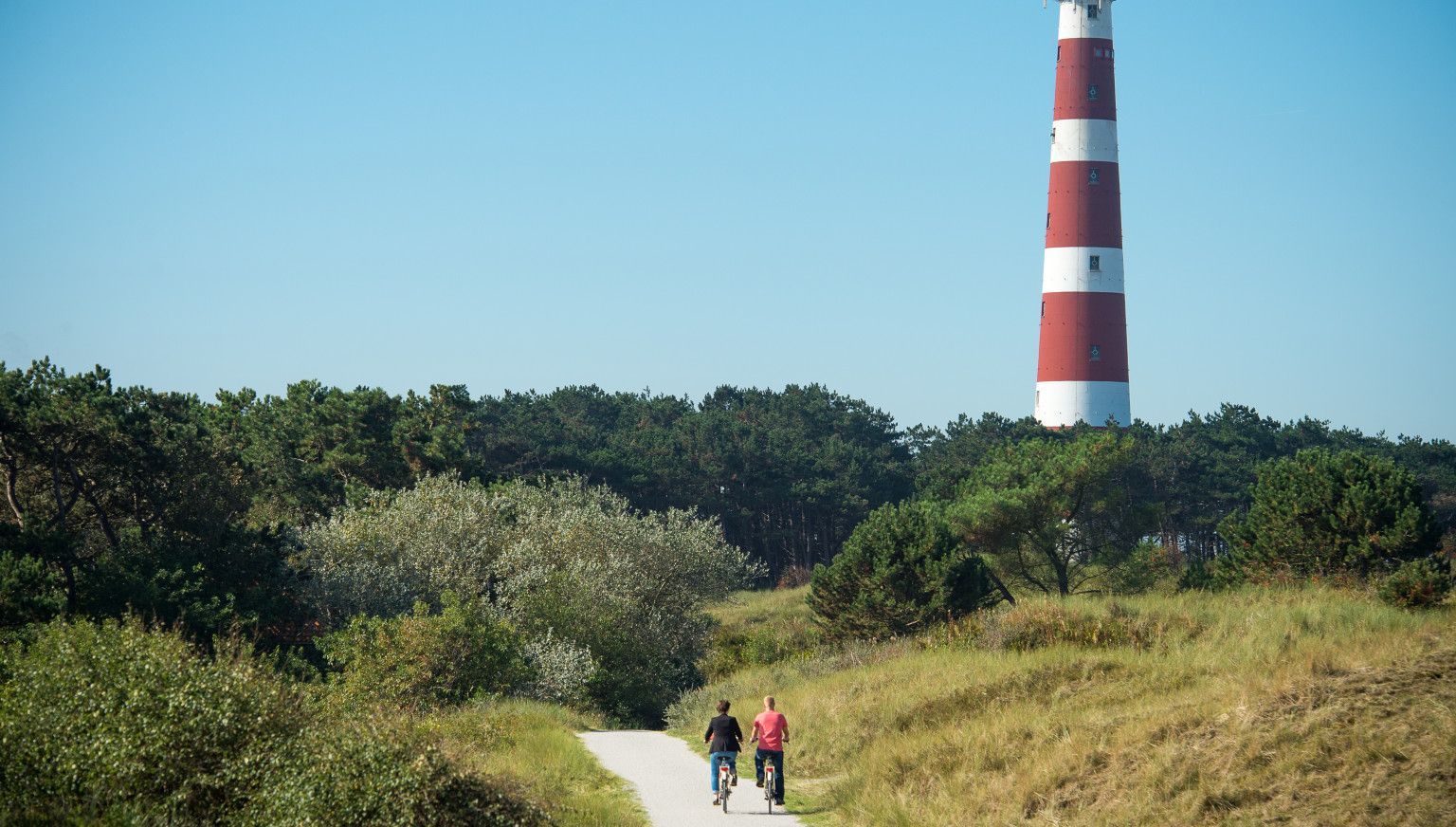 Der Hollumer Wald - VVV Ameland