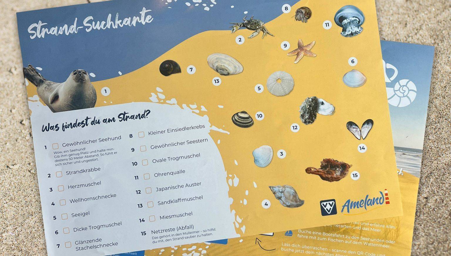 Was nehmen Sie in Ihre Strandtasche mit? - VVV Ameland