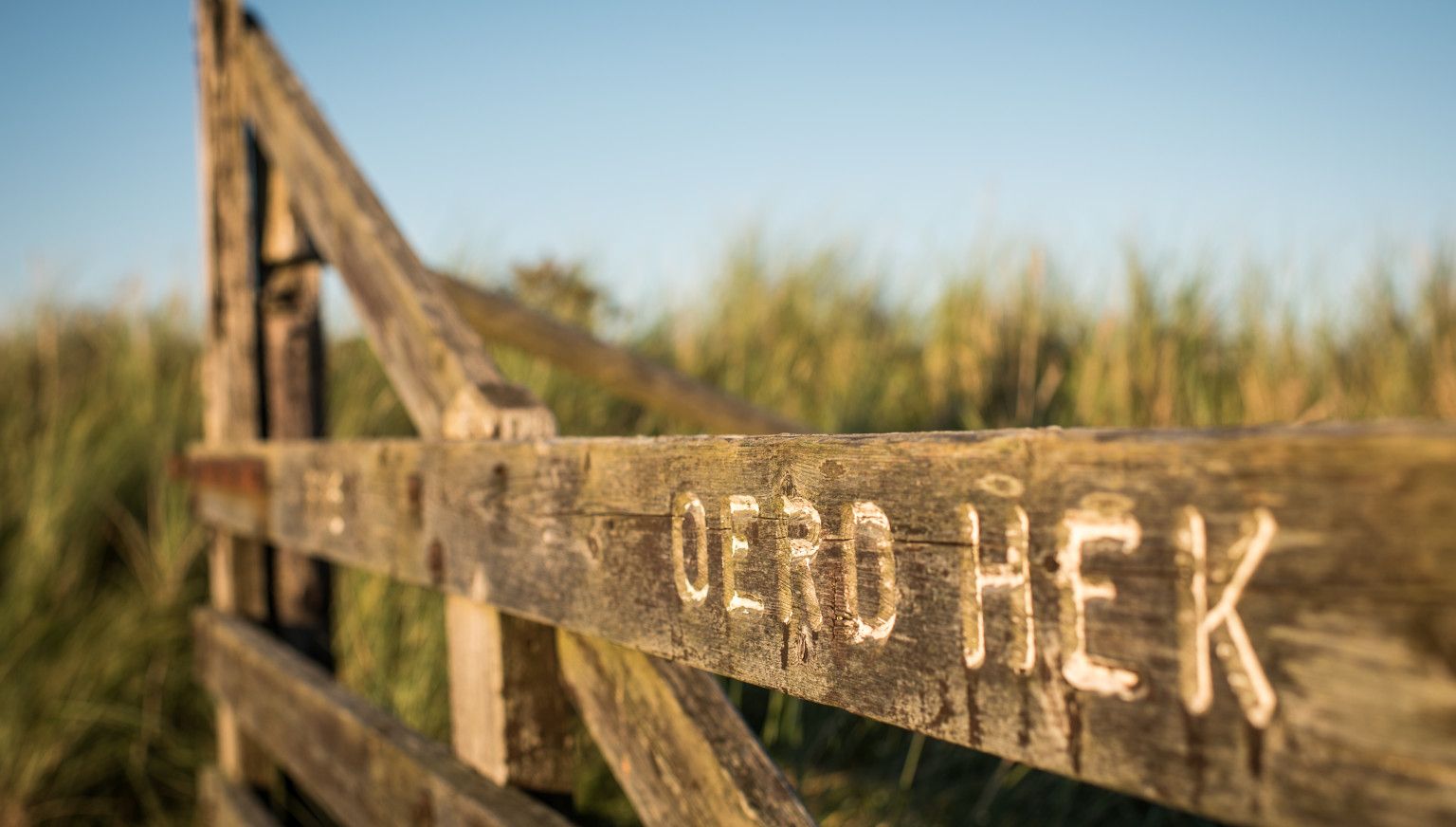 Nieuwlandsreid - VVV Ameland