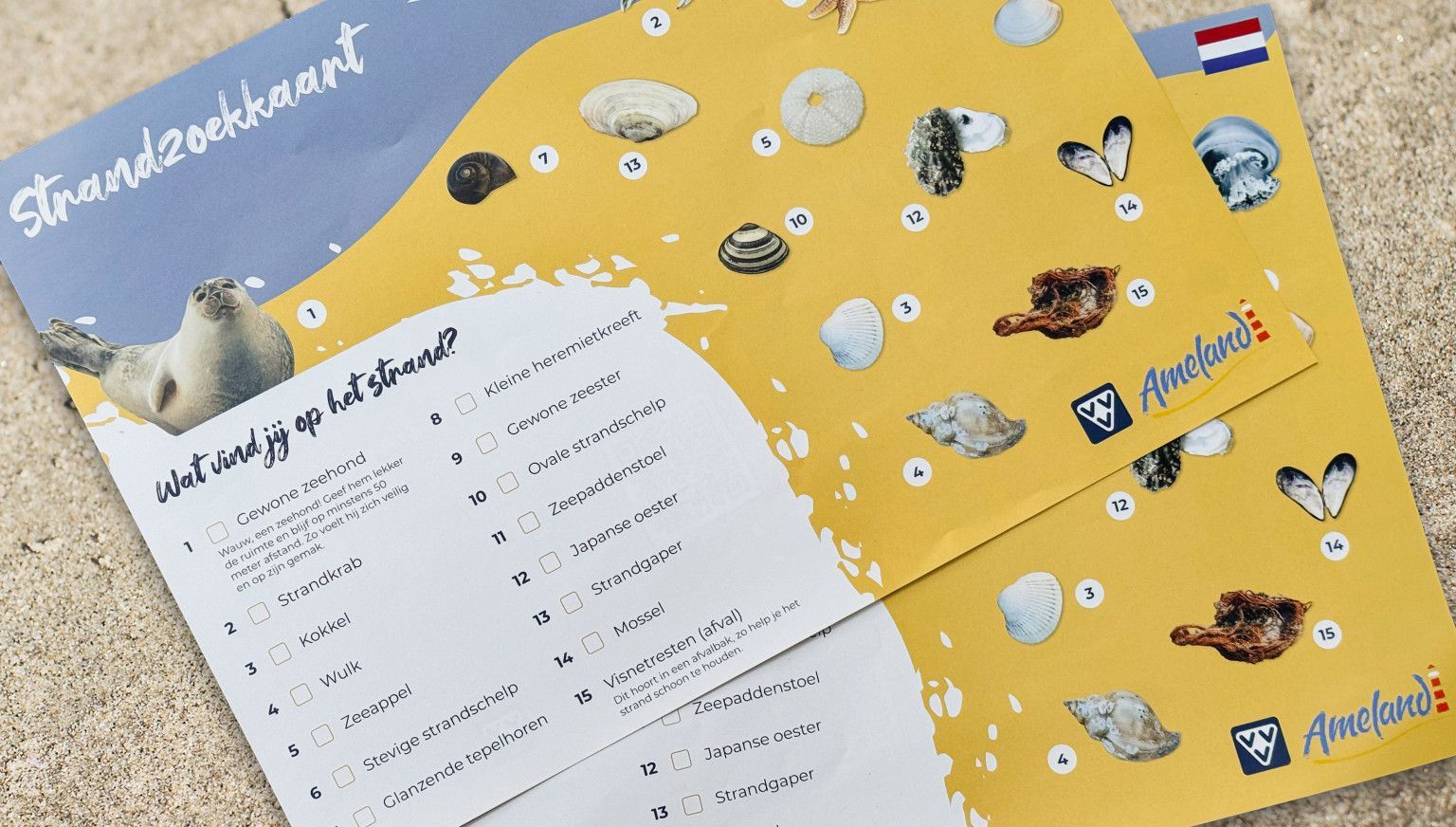 Was nehmen Sie in Ihre Strandtasche mit? - VVV Ameland