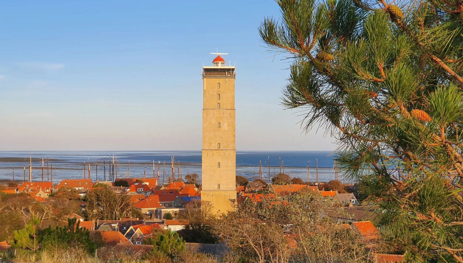 Wattwandern und Inselhüpfen - VVV Ameland