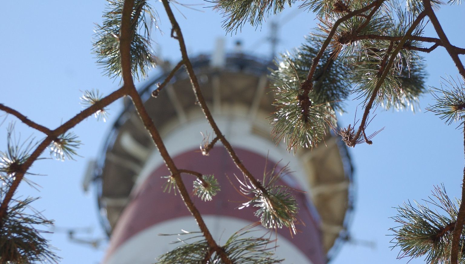 Hoch Zeit für den Leuchtturm - VVV Ameland