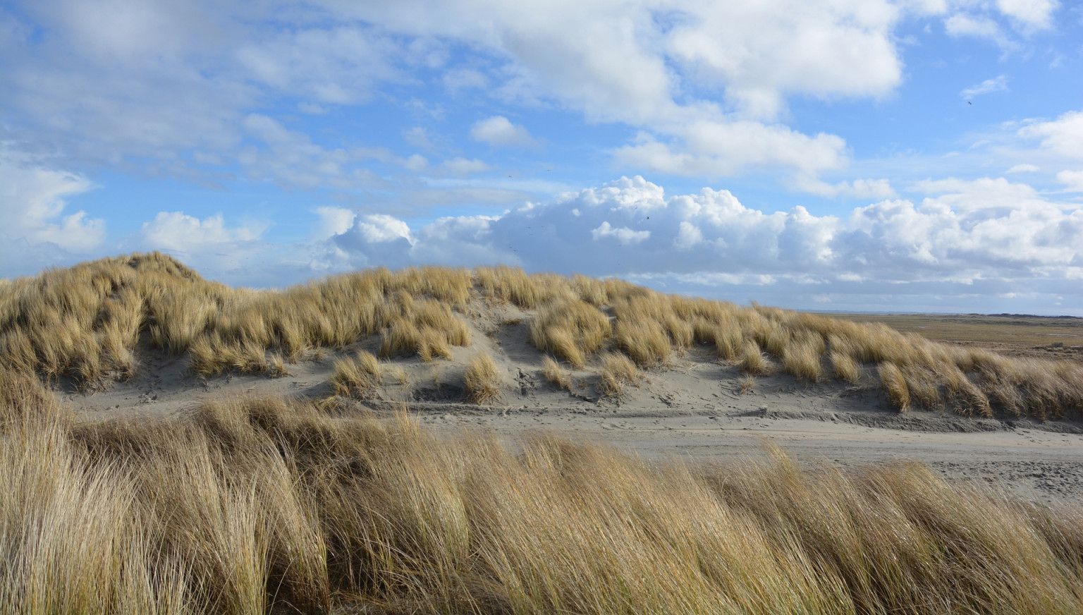Tagesausflug Ameland: Inselgefühl an einem Tag - VVV Ameland