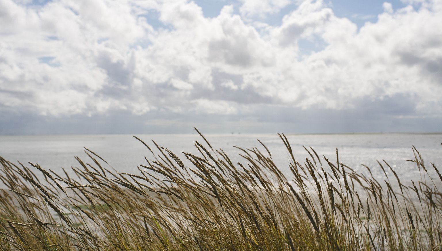 Unterschiede pro Standort - VVV Ameland