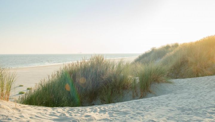 Ameland - Schiermonnikoog eiland- en waddenhoppen - VVV Ameland