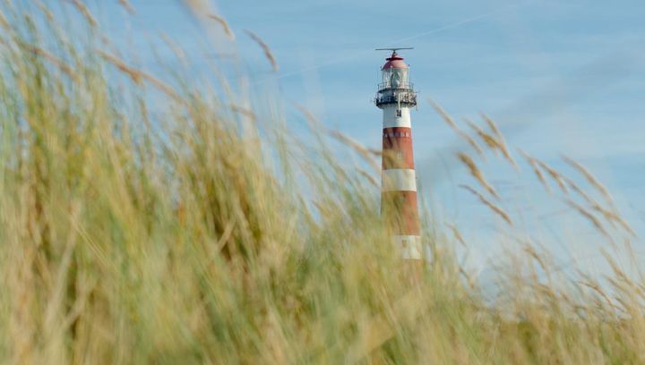 Amelander Produkte - VVV Ameland