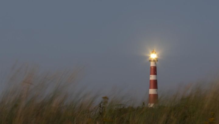 Wald, Strand und Leuchtturm - Foto: Anja Brouwer - VVV Ameland