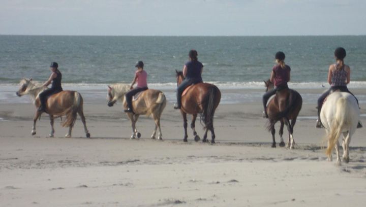 De Hollumer Trap - VVV Ameland