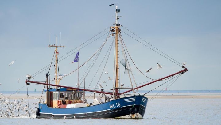 De O'slach Hollum - VVV Ameland