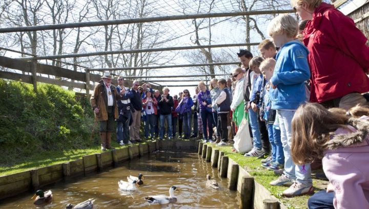 Exkursion im Entenfang - VVV Ameland