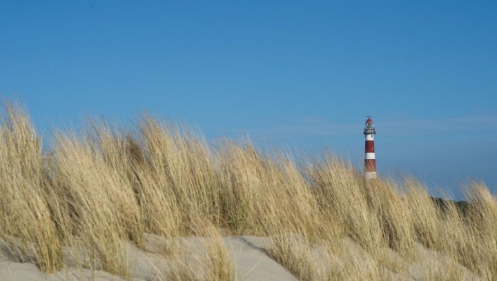 Gruppenhäuser Hollum - VVV Ameland