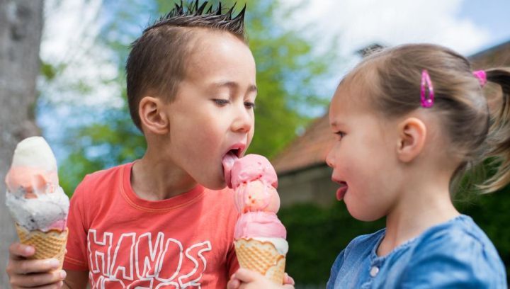 Snackbars, abholen & liefern - VVV Ameland