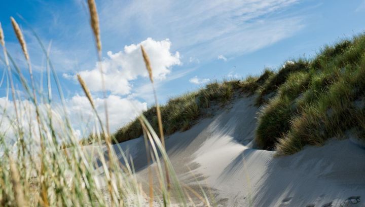 Ferienhäuser Hollum 5 - 6 Personen - VVV Ameland