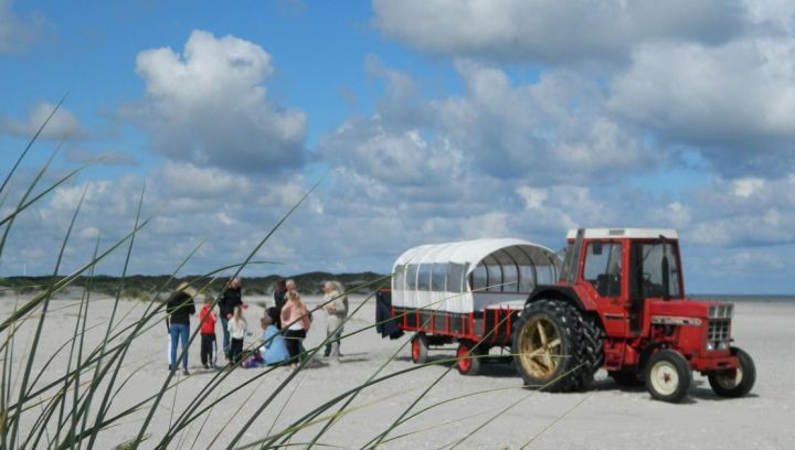 Planwagenfahrten Brouwer - VVV Ameland