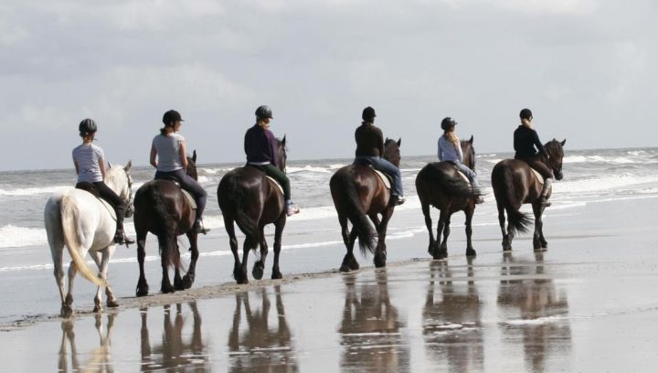 Reitstall 't Jutterspad - VVV Ameland