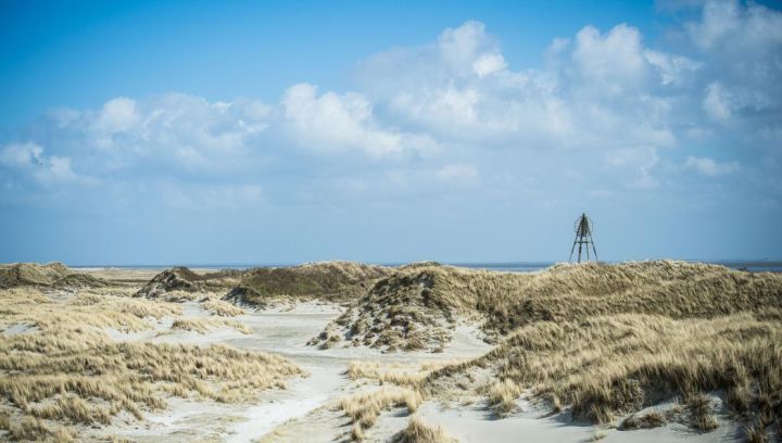 Kosten der VVV Mitgliedschaft - VVV Ameland