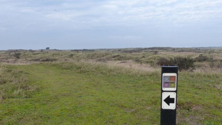 Kunstmonat Ameland - VVV Ameland