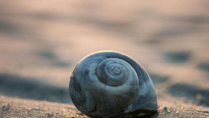 De Akelei R9 - VVV Ameland