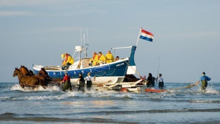 Vorführung des Pferderettungsbootes - VVV Ameland