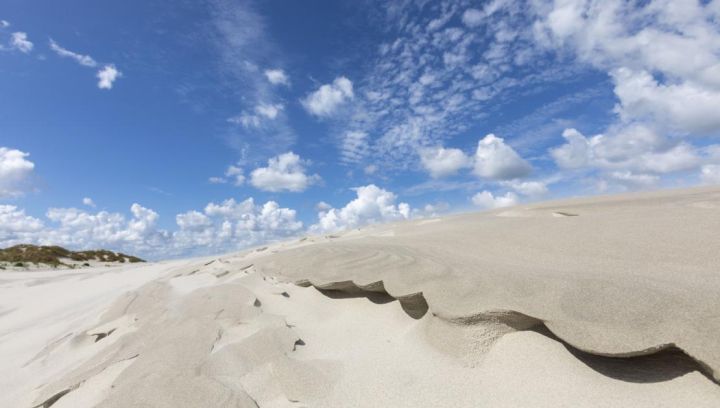 Strand- und Muschelexkursion - VVV Ameland