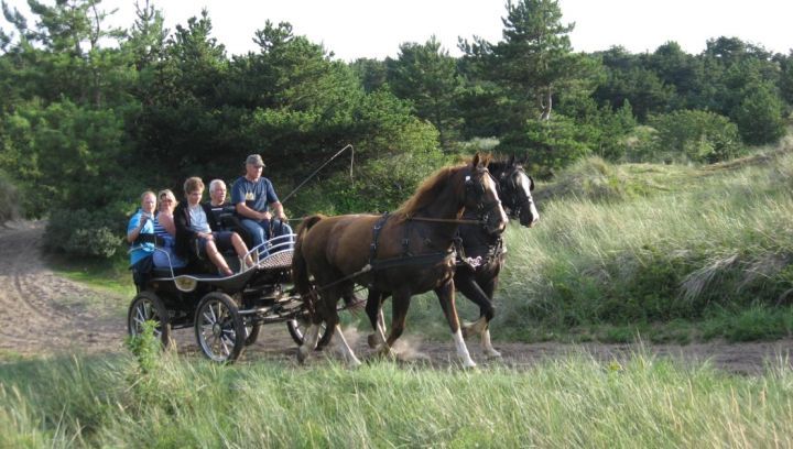 Freizeitfahrten Familie De Boer - VVV Ameland