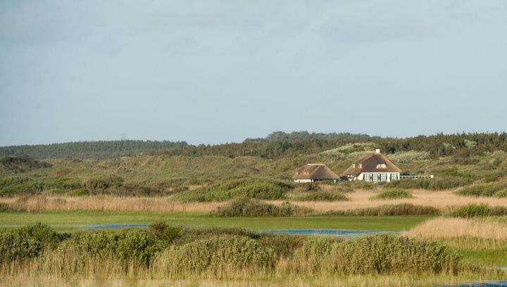 Ferienhäuser - VVV Ameland