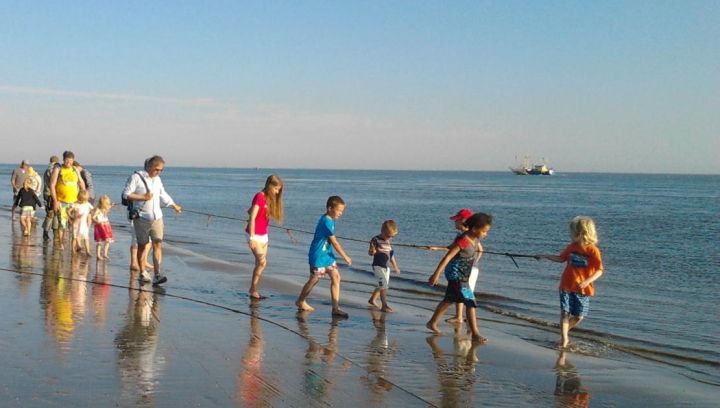 Kurren am Strand - VVV Ameland