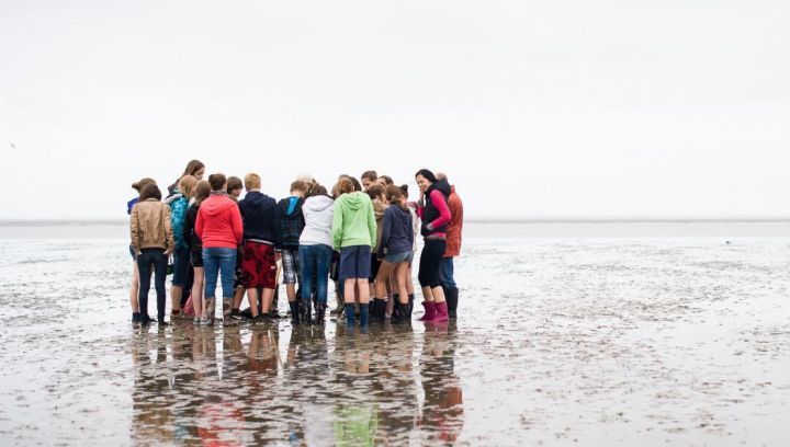 Wattexkursion - VVV Ameland