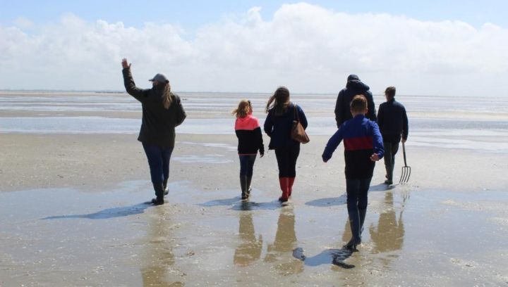 Ausflüge - VVV Ameland