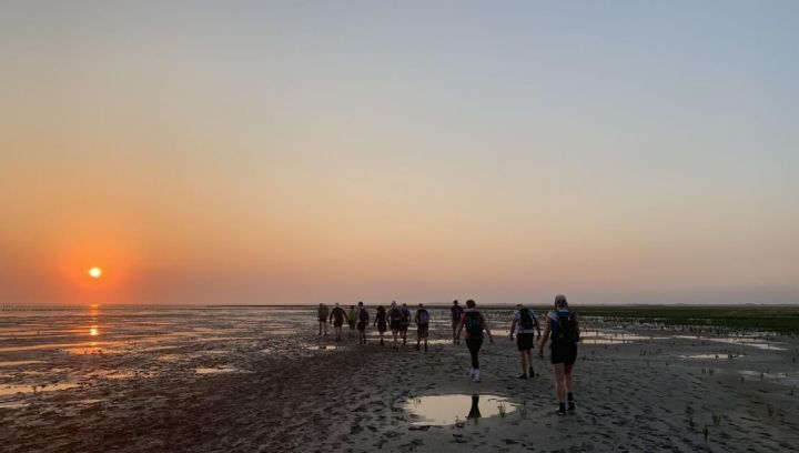 Wattenmeerstreifzug - VVV Ameland