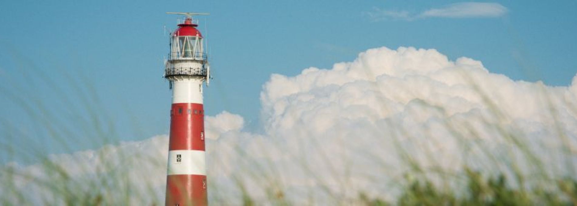 Häufig gestelte Fragen über Tiere auf Ameland- VVV Ameland.