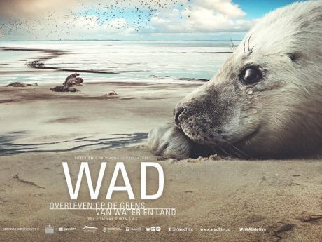 Film 'WATT, Überleben auf der Grenze von Wasser und Land' - VVV Ameland
