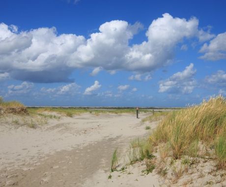 Der Grüne Strand - VVV Ameland