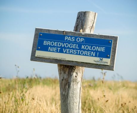 Der Grüne Strand - VVV Ameland