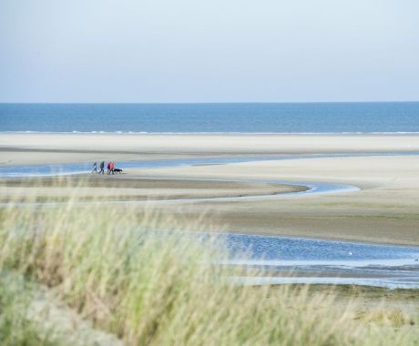 Der Grüne Strand - VVV Ameland