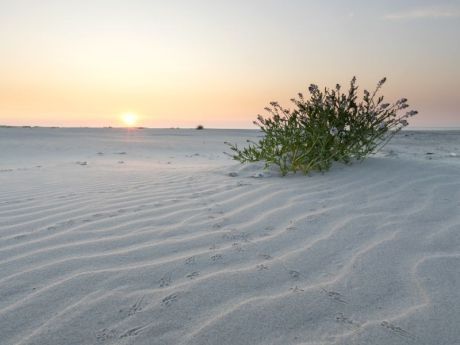 Die Entstehung Amelands - VVV Ameland