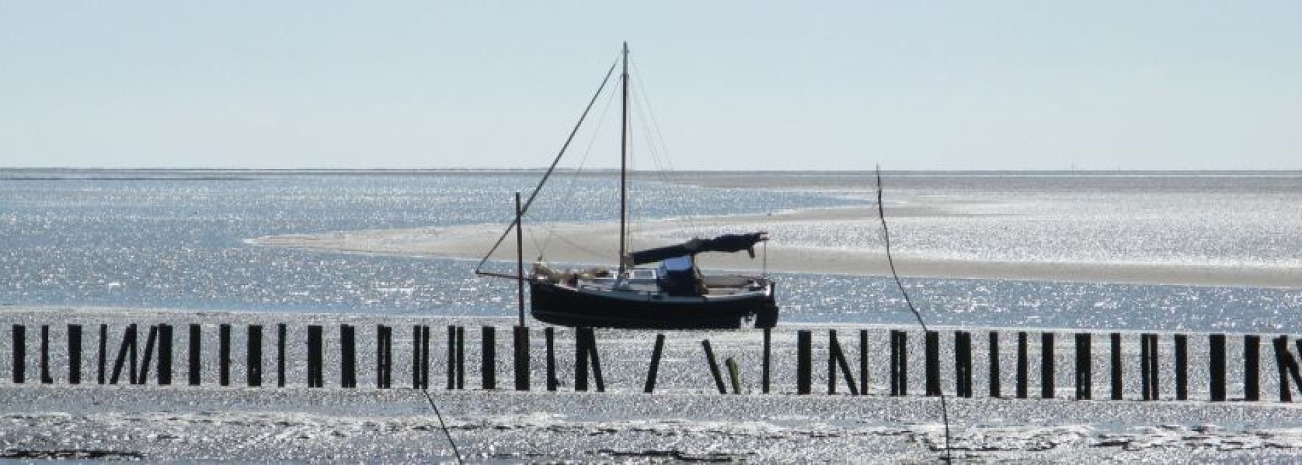 Häufig gestelte Fragen über Events und Aktivitäten auf Ameland - VVV Ameland